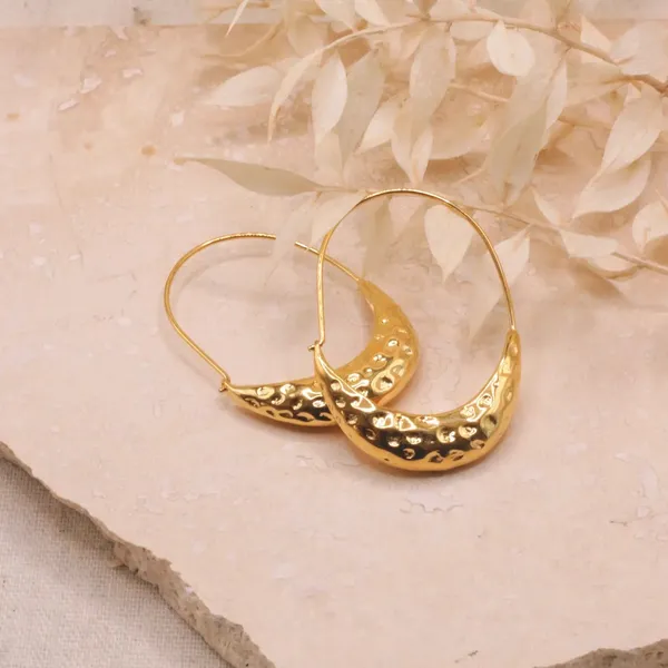 Golden_Stainless_Steel_And_Hypoallergenic_Coating_Earrings_For_Women